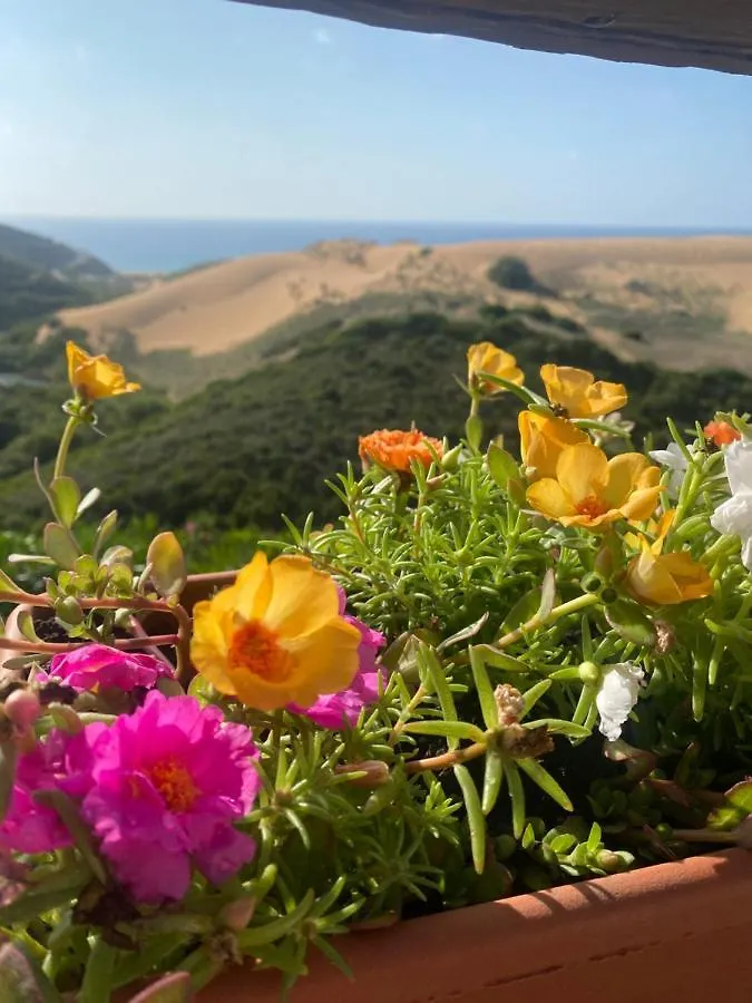 Le Dune Torre dei Corsari Italy